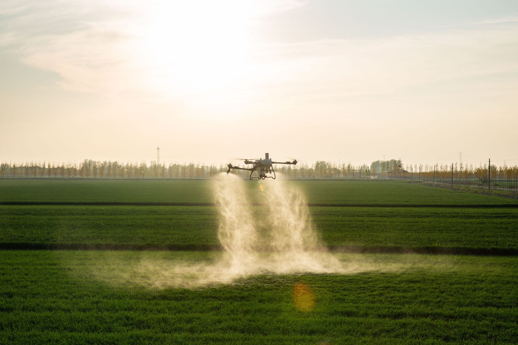 Dron agrícola en operación
